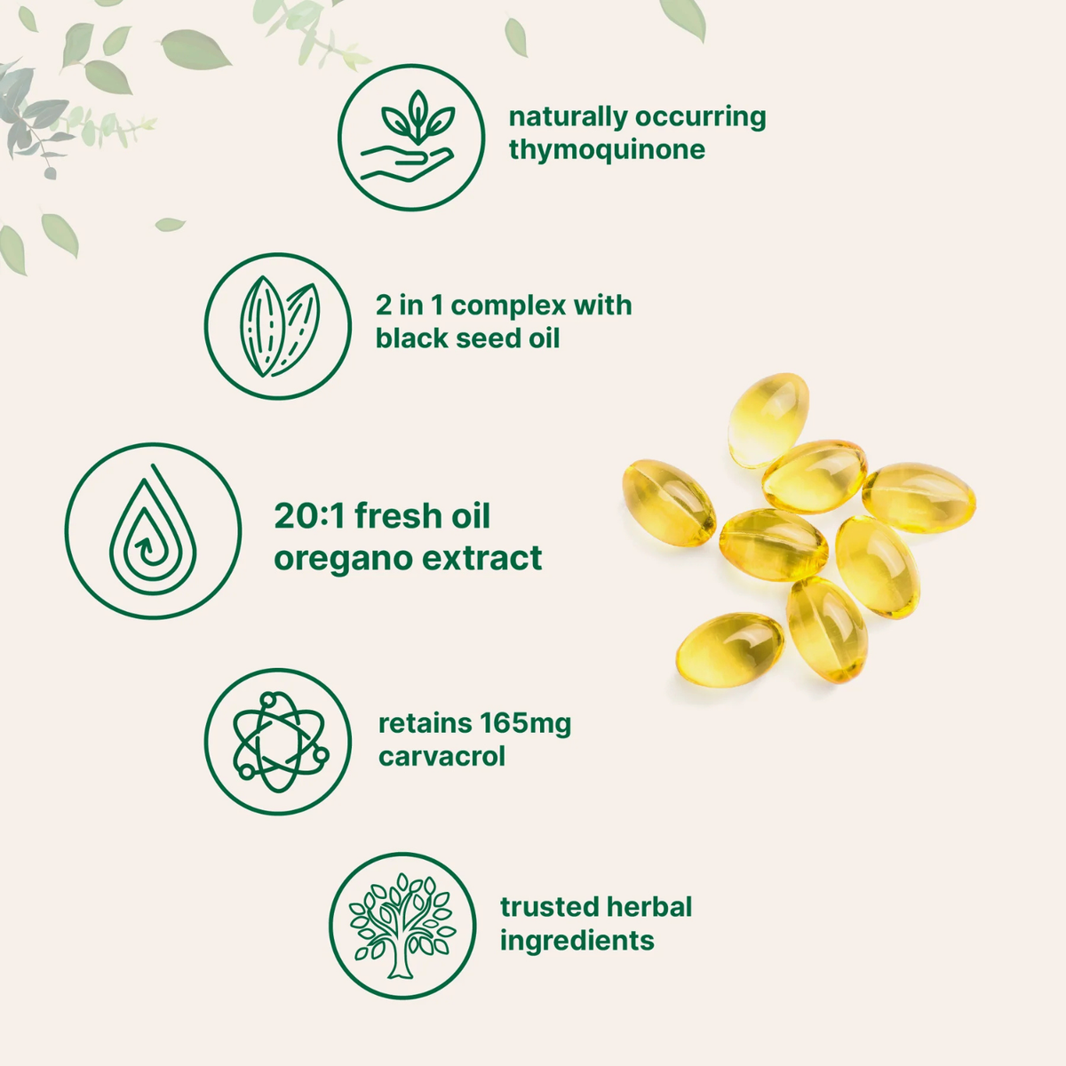 VitaHerb® Oregano + Black Seed, Immune Softgels