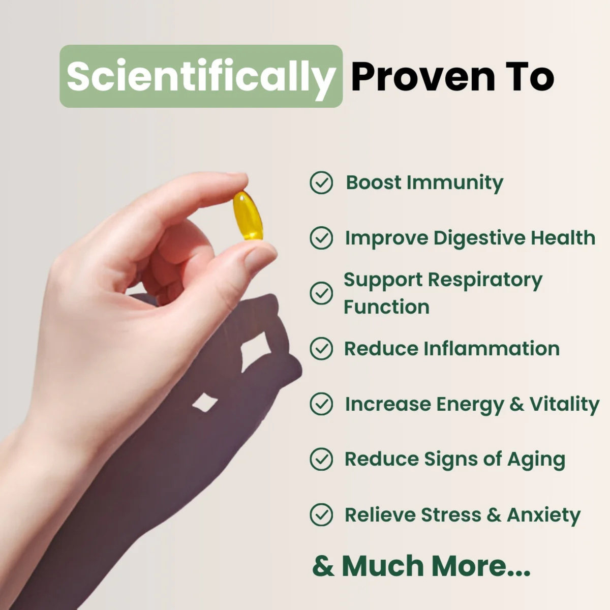 VitaHerb® Oregano + Black Seed, Immune Softgels